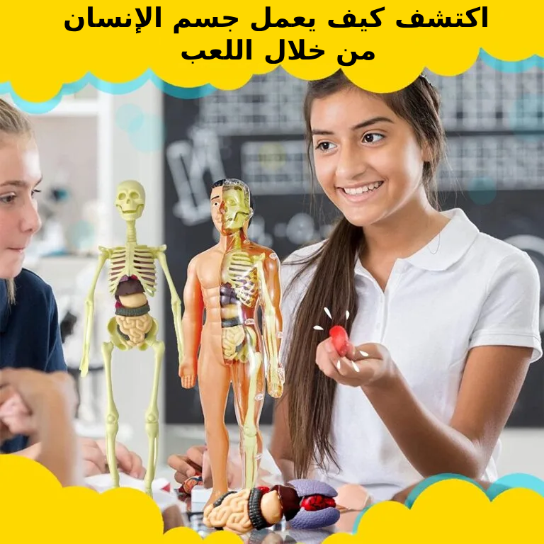 اكتشف كيف يعمل جسم الإنسان من خلال اللعب